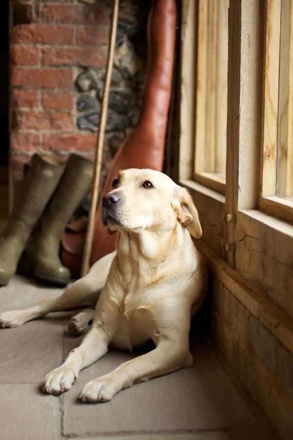 The Packhorse Inn นิวมาร์เก็ต ภายนอก รูปภาพ